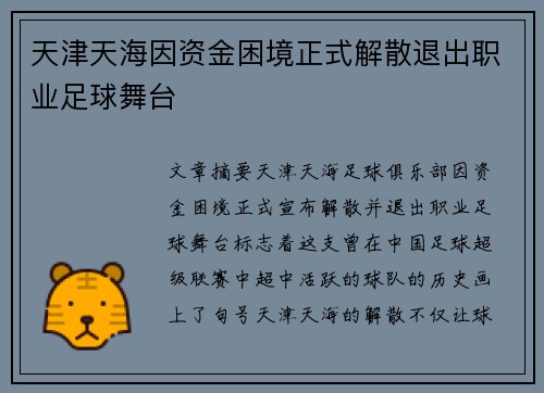 天津天海因资金困境正式解散退出职业足球舞台 天津天海因资金困境正式解散退出职业足球舞台